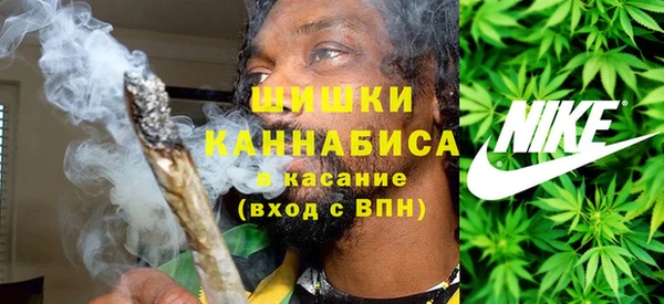 дурь Надым