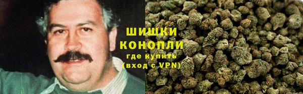 дурь Надым