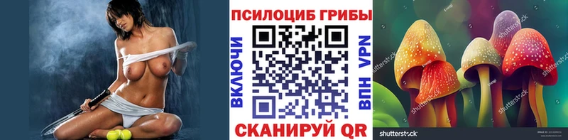 Псилоцибиновые грибы Psilocybe Купить Абакан